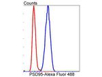 PSD-95 Antibody in Flow Cytometry (Flow)