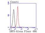 IRF5 Antibody in Flow Cytometry (Flow)