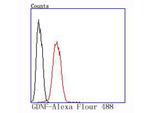 GDNF Antibody in Flow Cytometry (Flow)