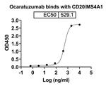 Ocaratuzumab Humanized Antibody in ELISA (ELISA)