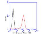 Oct-2 Antibody in Flow Cytometry (Flow)