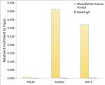 H3K18me1 Antibody in ChIP Assay (ChIP)