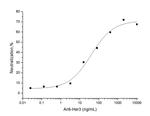 ErbB3 Chimeric Antibody in Neutralization (Neu)