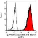 Phospho-gamma-H2AX (Ser139) Antibody in Flow Cytometry (Flow)