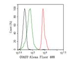 CoA Synthase Antibody in Flow Cytometry (Flow)