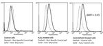 Dityrosine Antibody in Flow Cytometry (Flow)