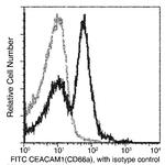 CEACAM1 Antibody in Flow Cytometry (Flow)