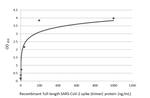 SARS-CoV-2 Spike Protein RBD Antibody in ELISA (ELISA)