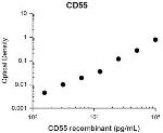 CD55 Antibody in ELISA (ELISA)