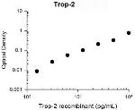 TROP2 Antibody in ELISA (ELISA)