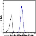 H4ac pan-acetyl (K8,K12,K16) Chimeric Antibody in Flow Cytometry (Flow)