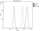 eRF1 Antibody in Flow Cytometry (Flow)