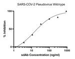 SARS-CoV-2 Spike Protein RBD Antibody in Neutralization (Neu)