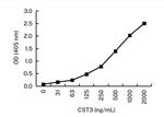 Cystatin C Antibody in ELISA (ELISA)