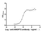 Angiopoietin 2 Antibody in Neutralization (Neu)