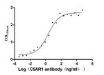 C5AR1 Antibody in Neutralization (Neu)