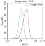 Serine racemase Antibody in Flow Cytometry (Flow)