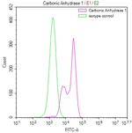 Carbonic Anhydrase I Antibody in Flow Cytometry (Flow)
