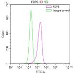 FDPS Antibody in Flow Cytometry (Flow)
