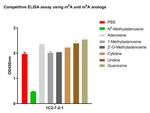 N6-Methyladenosine (m6A) Antibody in ELISA (ELISA)