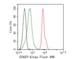 CoA Synthase Antibody in Flow Cytometry (Flow)