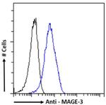 MAGEA3 Chimeric Antibody in Flow Cytometry (Flow)