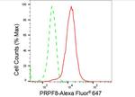PRP8 Antibody in Flow Cytometry (Flow)