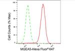 Mgea5 Antibody in Flow Cytometry (Flow)