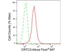 CRTC3 Antibody in Flow Cytometry (Flow)