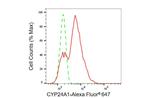 CYP24A1 Antibody in Flow Cytometry (Flow)