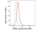 AHA1 Antibody in Flow Cytometry (Flow)