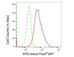 XPD Antibody in Flow Cytometry (Flow)