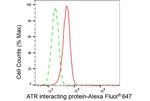 ATRIP Antibody in Flow Cytometry (Flow)
