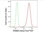 RAB8A Antibody in Flow Cytometry (Flow)