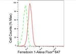 FDX1 Antibody in Flow Cytometry (Flow)