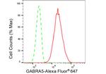GABRA5 Antibody in Flow Cytometry (Flow)