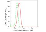 FHL2 Antibody in Flow Cytometry (Flow)