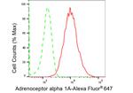 alpha-1a Adrenergic Receptor Antibody in Flow Cytometry (Flow)