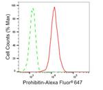 Prohibitin Antibody in Flow Cytometry (Flow)