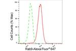 RAB9 Antibody in Flow Cytometry (Flow)