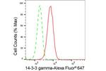 14-3-3 gamma Antibody in Flow Cytometry (Flow)