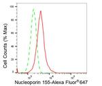 NUP155 Antibody in Flow Cytometry (Flow)