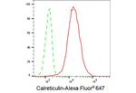 Calreticulin Antibody in Flow Cytometry (Flow)