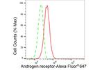 Androgen Receptor Antibody in Flow Cytometry (Flow)