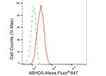 ABHD5 Antibody in Flow Cytometry (Flow)