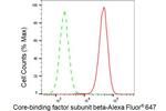 CBF beta Antibody in Flow Cytometry (Flow)