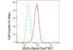 MLKL Antibody in Flow Cytometry (Flow)