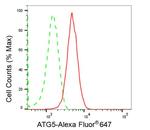 ATG5 Antibody in Flow Cytometry (Flow)