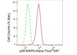 p38 MAPK Antibody in Flow Cytometry (Flow)