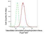 VASP Antibody in Flow Cytometry (Flow)